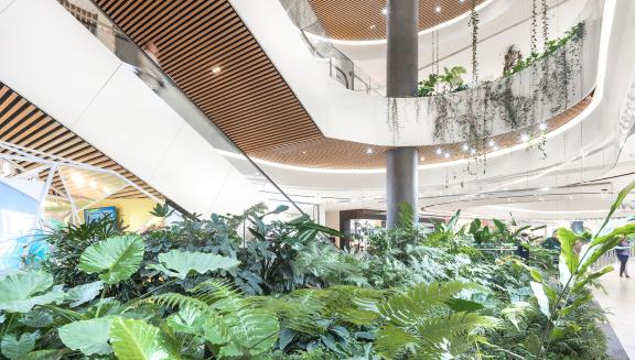 Thumbnail for CapitaMall Nuohemule